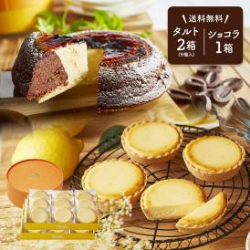 【 父の日 ギフト 】 メッセージ チーズケーキ タルト フロマージュ 9個(9個入×2箱) 天空のチーズケーキ ショコラ セット お菓子 お取り