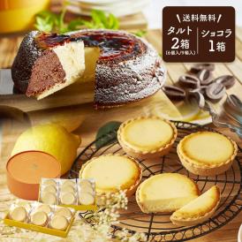 【 父の日 ギフト 】 メッセージ チーズケーキ タルト フロマージュ 6個＆9個(箱入り) 天空のチーズケーキ ショコラ セット お菓子 お取り