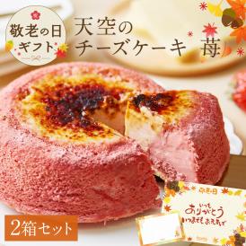 【 送料無料 ギフト 】 天空のチーズケーキ いちご 苺 ストロベリー 2箱 ギフト 濃厚 内祝い ふわとろ フロマージュ バースデー 誕生日 有名 スイーツ ギフト