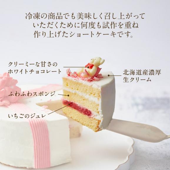【 母の日 ギフト 】 デコレーションケーキ バースデー 1箱 お取り寄せ ギフト 内祝い お菓子 スイーツ03