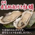 殻付きセル牡蠣（生食用）1個