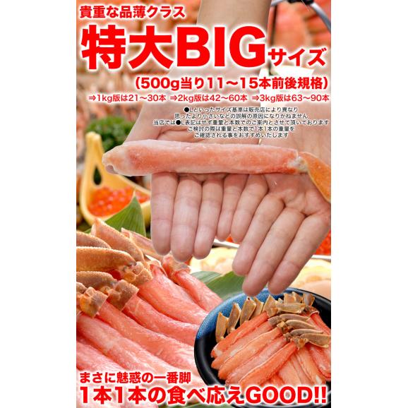 【特大】ズワイガニ 生 剥き身 総重量 500g 前後 (500g 10～15本前後×1袋) ポーション 棒肉 剥身 カット 脚 足 ずわい ズワイ カニ 蟹 カニ鍋 カニシャブ かにしゃぶ03