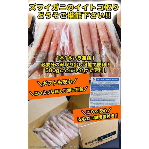 【特大】ズワイガニ 生 剥き身 総重量 500g 前後 (500g 10～15本前後×1袋) ポーション 棒肉 剥身 カット 脚 足 ずわい ズワイ カニ 蟹 カニ鍋 カニシャブ かにしゃぶ05