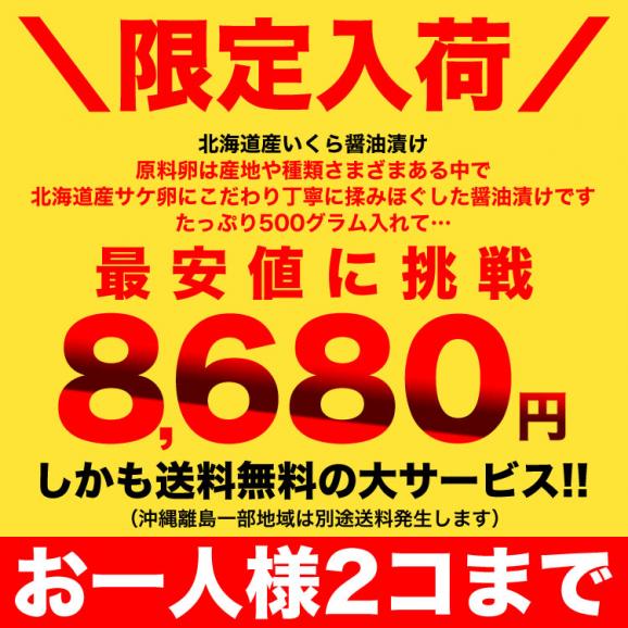 いくら 醤油漬け 鮭卵 北海道産 500g 前後 イクラ 刺身 生食 海鮮丼 寿司02