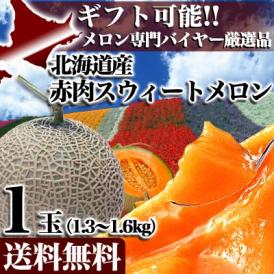 2026年収穫予約 赤肉スイートメロン 北海道産 約1.3〜1.6kg×1玉 めろん お届け日指定不可無効 2026年7月下旬前後頃よりご注文順に発送