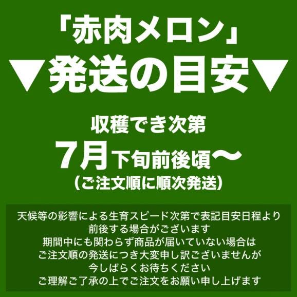 2026年収穫予約 赤肉スイートメロン 北海道産 約1.3〜1.6kg&times;1玉 めろん お届け日指定不可無効 2026年7月下旬前後頃よりご注文順に発送05