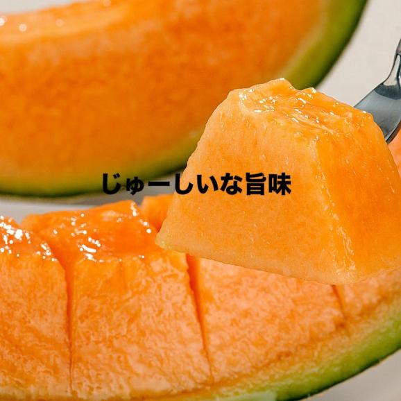 2026年収穫予約 赤肉スウィートメロン 北海道産 1.3kg前後&times;1玉 めろん お届け日指定不可無効 2026年7月上旬～中旬前後頃よりご注文順に発送[ お中元 暑中見舞い ギフト お祝 ]06