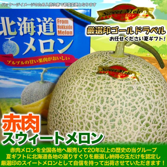 2026年収穫予約 赤肉スウィートメロン 北海道産 1.3kg前後&times;2玉 めろん お届け日指定不可無効 2026年7月上旬～中旬前後頃よりご注文順に発送[ お中元 暑中見舞い ギフト お祝 ]04