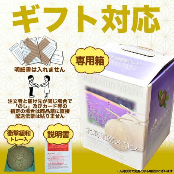 2026年収穫予約 赤肉スウィートメロン 北海道産 1.3kg前後&times;2玉 めろん お届け日指定不可無効 2026年7月上旬～中旬前後頃よりご注文順に発送[ お中元 暑中見舞い ギフト お祝 ]05