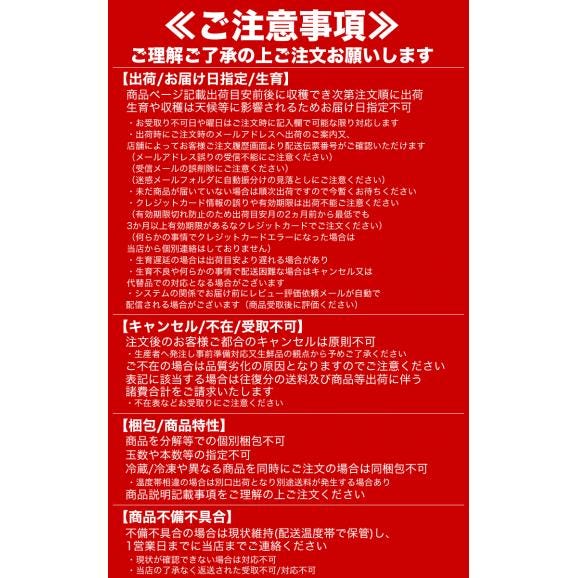 2026年収穫予約 赤肉スイートメロン 北海道産 約1.3〜1.6kg&times;2玉 めろん お届け日指定不可無効 2026年7月下旬前後頃よりご注文順に発送06