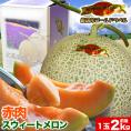2026年収穫予約 特大 赤肉スウィートメロン 北海道産 2kg前後&times;1玉 めろん お届け日指定不可無効 2026年7月上旬～中旬前後頃よりご注文順に発送[ お中元 暑中見舞い ギフト お祝 ]
