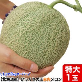 2026年収穫予約 特大 赤肉スイートメロン 北海道産 約2kg×1玉 めろん お届け日指定不可無効 2026年7月下旬前後頃よりご注文順に発送