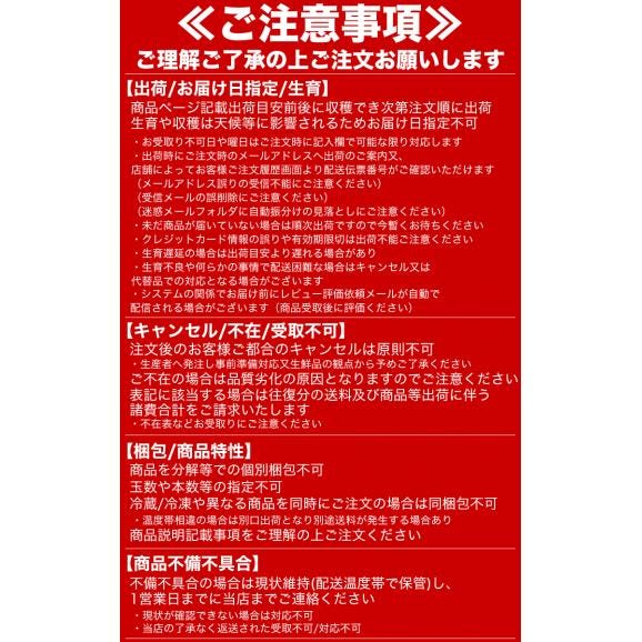 2026年収穫予約 特大 赤肉スイートメロン 北海道産 約2kg&times;1玉 めろん お届け日指定不可無効 2026年7月下旬前後頃よりご注文順に発送02
