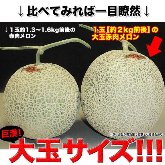 2026年収穫予約 特大 赤肉スイートメロン 北海道産 約2kg&times;1玉 めろん お届け日指定不可無効 2026年7月下旬前後頃よりご注文順に発送03