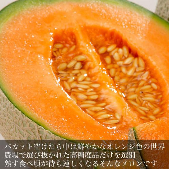 2026年収穫予約 特大 赤肉スイートメロン 北海道産 約2kg&times;1玉 めろん お届け日指定不可無効 2026年7月下旬前後頃よりご注文順に発送06