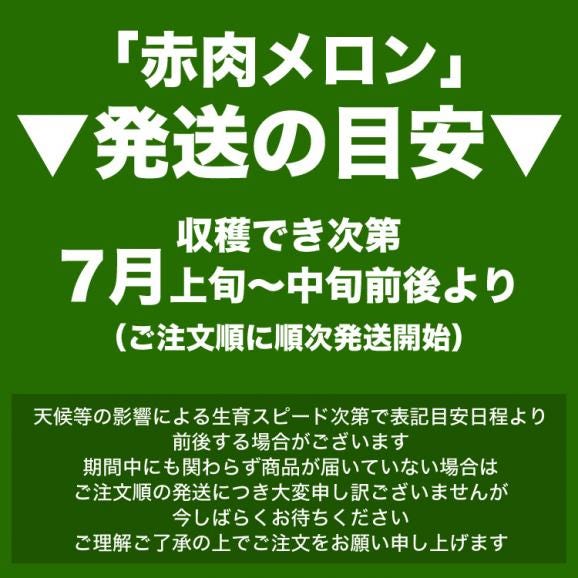 2026年収穫予約 特大 赤肉スイートメロン 北海道産 2kg前後×2玉 めろん お届け日指定不可無効 2026年7月上旬~中旬前後頃よりご注文順に発送03