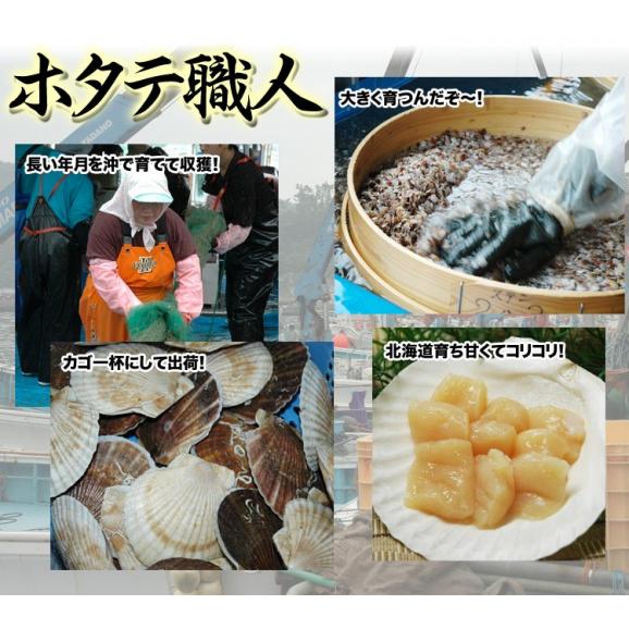 【大】ホタテ 貝柱 1kg 前後 (41~60玉前後) 北海道産 ほたて 帆立 刺身 玉冷 生食 海鮮丼 寿司 新鮮急速バラ凍結で取出し楽です05