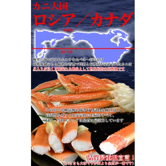 【お一人様2コまで】3kg前後 5～6尾 ズワイガニ姿[ずわい蟹 味噌みそ][業務用 大容量 3キロ][ボイル加熱済み急速冷凍][カニパーティー]02