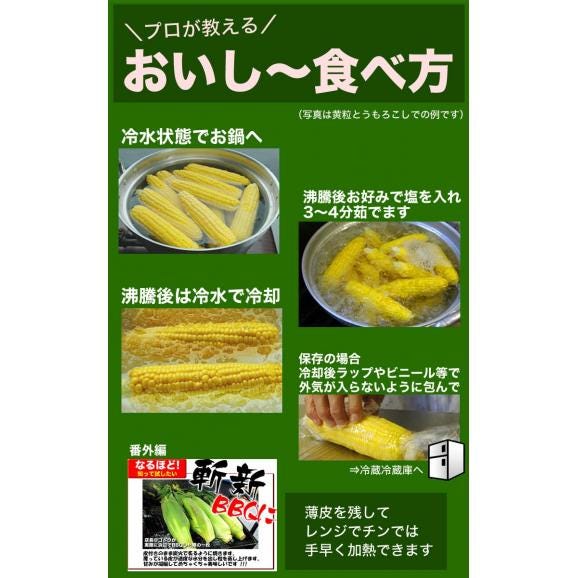 とうもろこし 白粒 L〜2L×10本　北海道産 とうきび　お届け日指定不可無効　2024年8月下旬前後頃よりご注文順に発送04