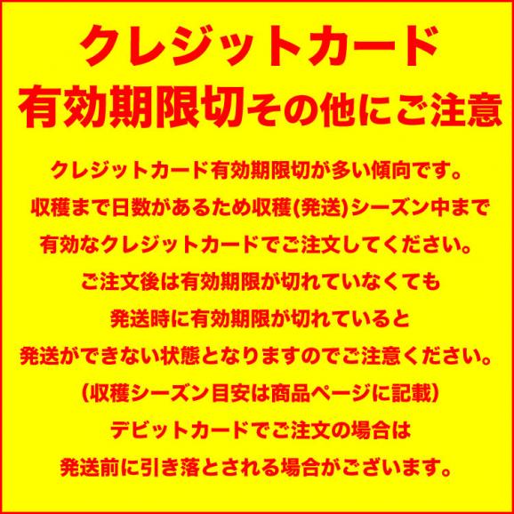 2025年収穫予約 夕張メロン 訳あり 約4kg 2〜4玉入 メロン 北海道産 めろん 赤肉 お届け日指定不可無効 2025年7月前後頃よりご注文順に発送 玉数指定不可05