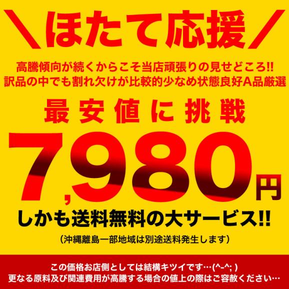 【お徳用 業務用】 1kg 北海道産 生食 ホタテ 貝柱 玉冷 訳あり A品 新鮮 急速凍結冷凍 【2点以上から注文数に応じオマケ付き】訳有 わけあり 不揃い 帆立 ほたて 刺身  海鮮 丼 寿司03