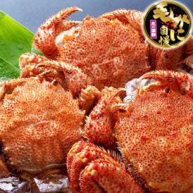 【特大】毛ガニ 570g 前後×3尾セット 北海道産 姿 味噌 けがに 毛がに カニ 蟹 かに 脚 折脚たし脚入る場合があります