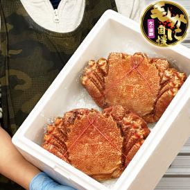 【超超特大】毛ガニ 800g 前後×2尾セット 北海道産 姿 味噌 けがに 毛がに カニ 蟹 かに 脚 折脚たし脚入る場合があります