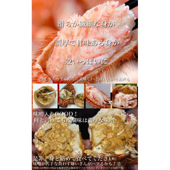 【超超特大】毛ガニ 800g 前後×2尾セット 北海道産 姿 味噌 けがに 毛がに カニ 蟹 かに 脚 折脚たし脚入る場合があります04