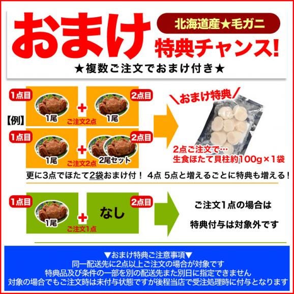 在庫限り最安値に挑戦 年末指定は備考欄で受付中 特大 毛ガニ 570g 前後 北海道産 姿 味噌 けがに 毛がに カニ 蟹 かに 折脚たし脚入る場合あり 2点以上から注文数に応じオマケ付き02