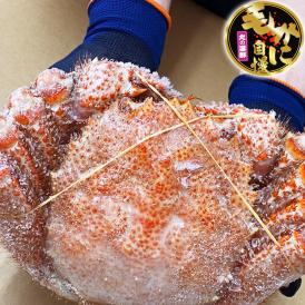 【超超特大】毛ガニ 1kg 前後×2尾セット 北海道産 姿 味噌 けがに 毛がに カニ 蟹 かに 脚 折脚たし脚入る場合があります