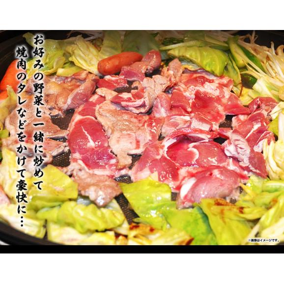 ラム肉　1kg前後　ロールスライス　厚切　味付けなし（多少切れ端入ります）【2個以上から注文数に応じオマケ付き】03