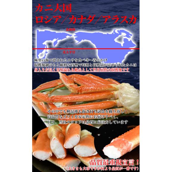 【カニ激売尽し】【在庫限りの大放出】ズワイガニ 脚 3kg前後 9～12肩前後 折れ 訳あり訳有 カニ 蟹 ずわいがに 大容量 業務用 ボイル 冷凍02