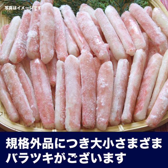 生ズワイガニ　ポーション　1.6kg前後(800g前後&times;2p)　かにしゃぶ　カニ鍋　蟹　剥き身　棒肉（だるま） [ 訳あり 訳有 わけあり ]【2個以上から注文数に応じオマケ付き】03