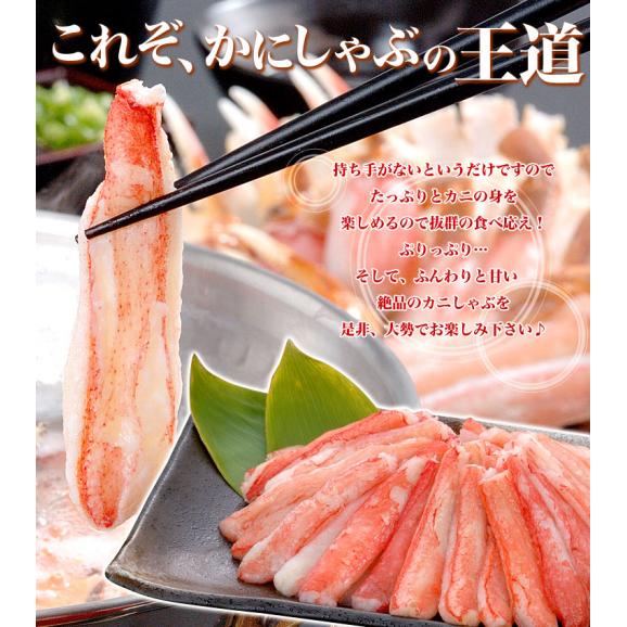 生ズワイガニ　ポーション　1.6kg前後(800g前後&times;2p)　かにしゃぶ　カニ鍋　蟹　剥き身　棒肉（だるま） [ 訳あり 訳有 わけあり ]【2個以上から注文数に応じオマケ付き】06