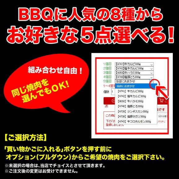 焼肉　セット　8品より5個選べる［牛カルビ味噌　ハラミ　牛コロホルモン　セセリ　ジンギスカン　豚トロ　豚サガリ　豚タン　より選択OK］［BBQ　バーベキュー］02