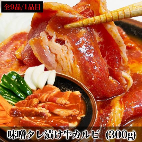 特売 焼肉セット 9品より5個選べる 牛カルビ 牛ハラミ 豚トロ 豚サガリ 牛ホルモン 鶏セセリ 豚タン 焼き鳥 牛タン より選択OK 2点以上からオマケ付き03
