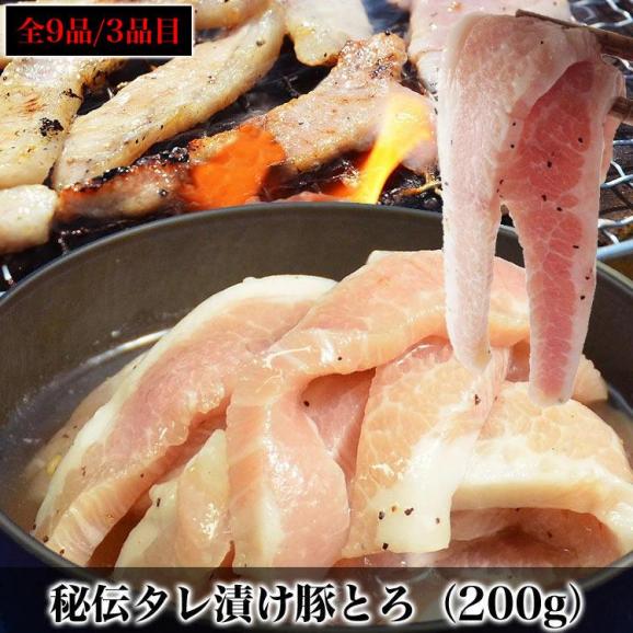 特売 焼肉セット 9品より5個選べる 牛カルビ 牛ハラミ 豚トロ 豚サガリ 牛ホルモン 鶏セセリ 豚タン 焼き鳥 牛タン より選択OK 2点以上からオマケ付き05