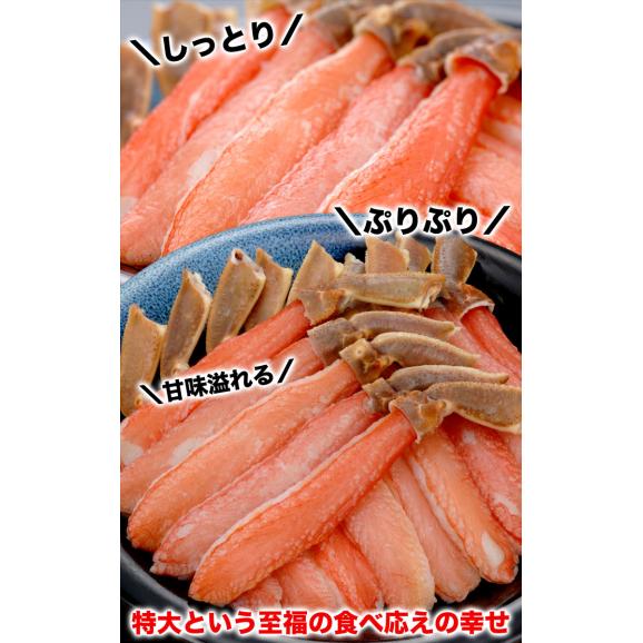 ズワイガニ 生 ポーション 特大 総重量 2kg 前後(剥き身 剥身 むきみ かにしゃぶ 棒肉 足 脚)(かに 蟹 ずわい蟹 ズワイ蟹)03