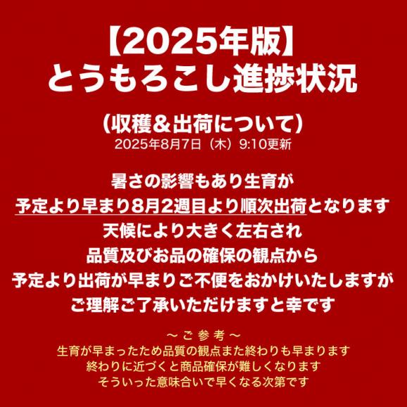 2025年収穫予約 とうもろこし 白粒 L〜2L×20本　北海道産 とうきび　お届け日指定不可無効　2025年8月下旬前後頃よりご注文順に発送02