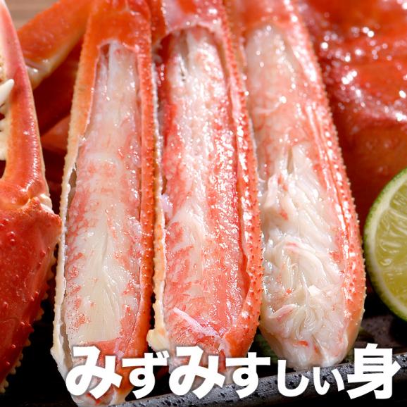 【お徳用】【大型】ズワイガニ 脚 総重量 4kg 前後 （ 2kg 5～6肩前後&times;2箱） ずわい ズワイ カニ 蟹 かに 脚 折脚たし脚入る場合があります【2点以上から注文数に応じオマケ付き】06