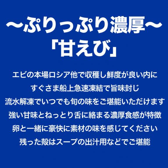 【3L】 甘えび 1kg 前後 ［ (オス 卵なし) (メス 子持ち 卵あり) 混合］ エビ 海老 蝦 刺身 寿司 手巻き寿し 海鮮丼02