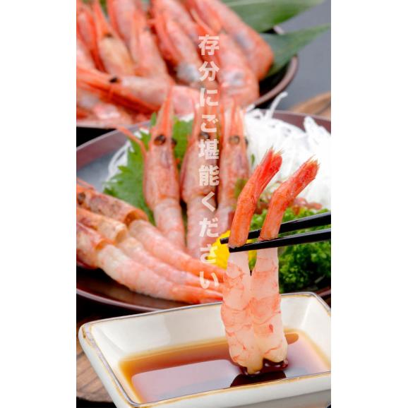 【3L】 甘えび 1kg 前後 ［ (オス 卵なし) (メス 子持ち 卵あり) 混合］ エビ 海老 蝦 刺身 寿司 手巻き寿し 海鮮丼05