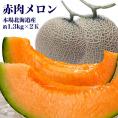 メロン　訳あり　赤肉　約1.3kg前後×2玉　北海道産　8月上旬前後頃〜8月中旬頃から注文順に出荷　お届け日指定不可選択指定無効