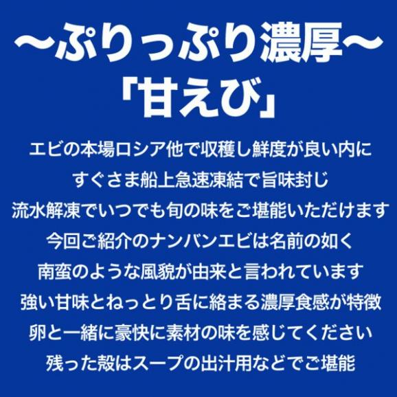 4L 甘えび ナンバンエビ 2kg前後 子持ち　卵あり　エビ えび 海老　刺身 握り寿司 ちらし寿司 手巻き寿司  海鮮丼 他エビ料理用に02