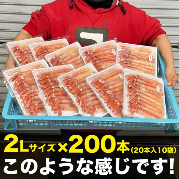 ポーション 紅 ズワイガニ 剥き身 2L 200本(300g前後×10p) 在庫限りの大放出 紅 ずわいがに かにしゃぶ カニ鍋 ボイル 蟹04