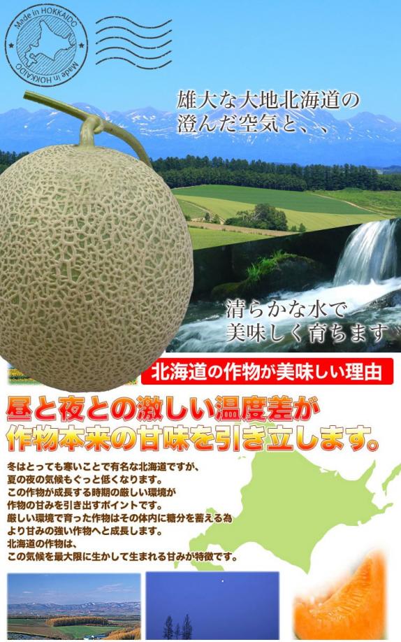 特売 2026年収穫予約 メロン 赤肉 北海道産 約4kg 2〜4玉入 めろん