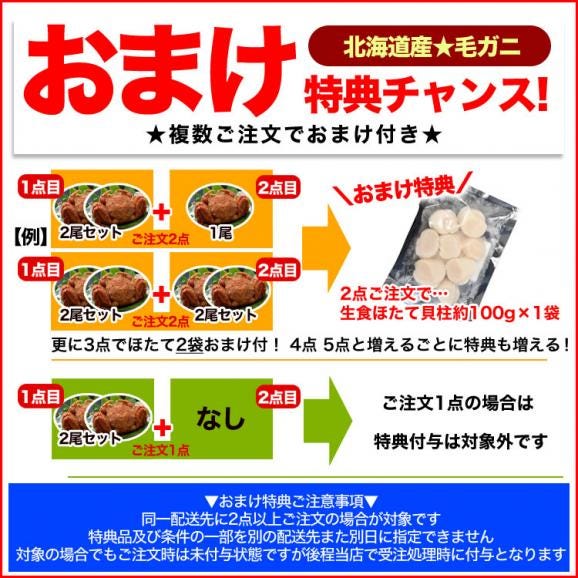 在庫限り最安値に挑戦 年末指定は備考欄で受付中 大 毛ガニ 500g 前後 2尾 北海道産 姿 味噌 けがに 毛がに カニ 蟹 かに 脚 折脚たし脚入る場合あり 2個以上から注文数に応じオマケ付き03