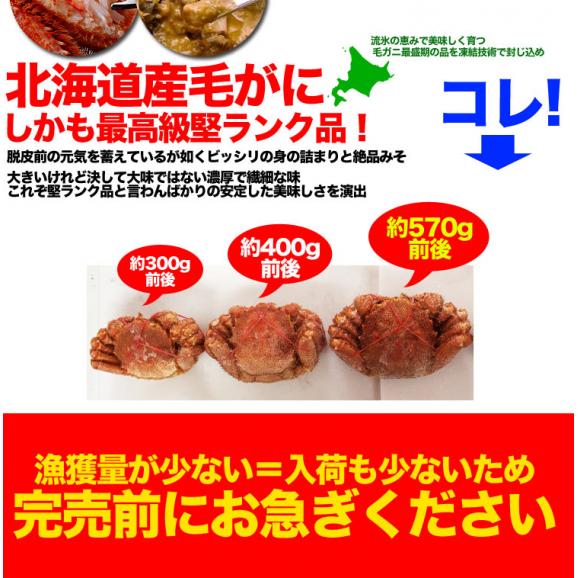 【カニ激売祭り】【特大】毛ガニ 570g 前後&times;2尾セット 北海道産 姿 味噌 けがに 毛がに カニ 蟹 かに 脚 折脚たし脚入る場合があります03