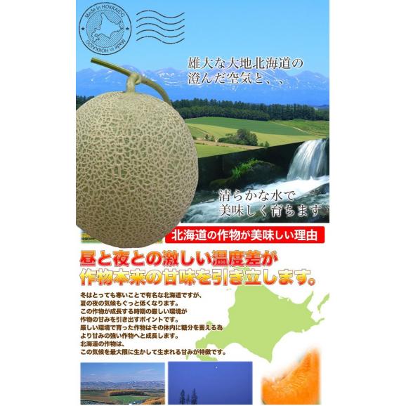 特大 夕張メロン 優品 1玉 約2kg 共選 メロン 北海道産 めろん 赤肉 お届け日指定不可無効 2023年6月下旬前後頃よりご注文順に発送03