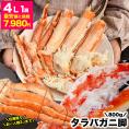 お一人様2個まで タラバガニ 脚 総重量 800g 前後 1肩 4L たらば タラバ カニ 蟹 かに 脚 折脚たし脚入る場合あり